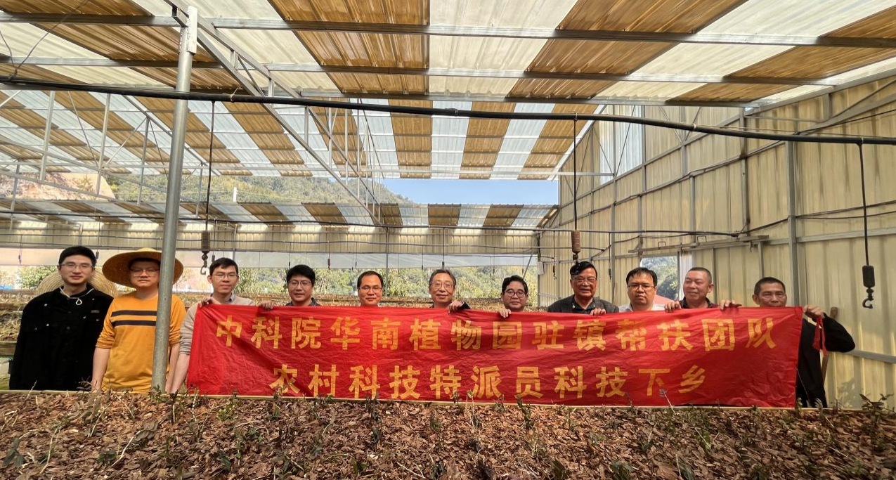 图片4_看图王.png